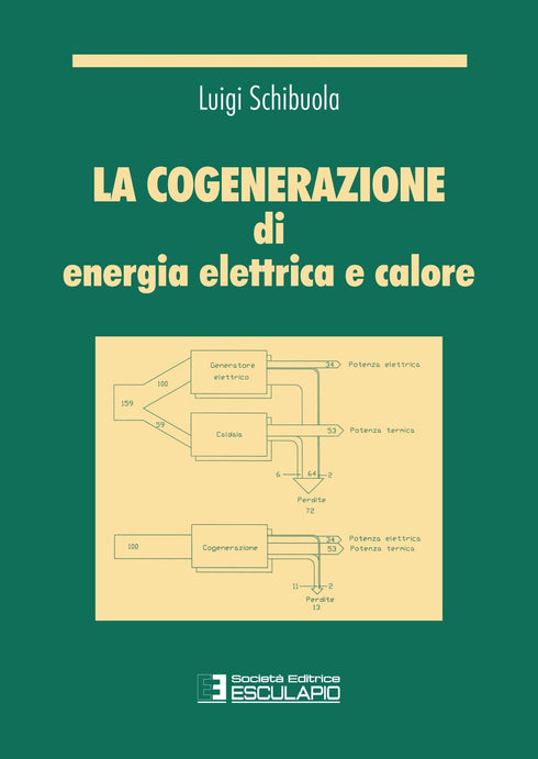 SCHIBUOLA - Cogenerazione di energia elettrica e calore